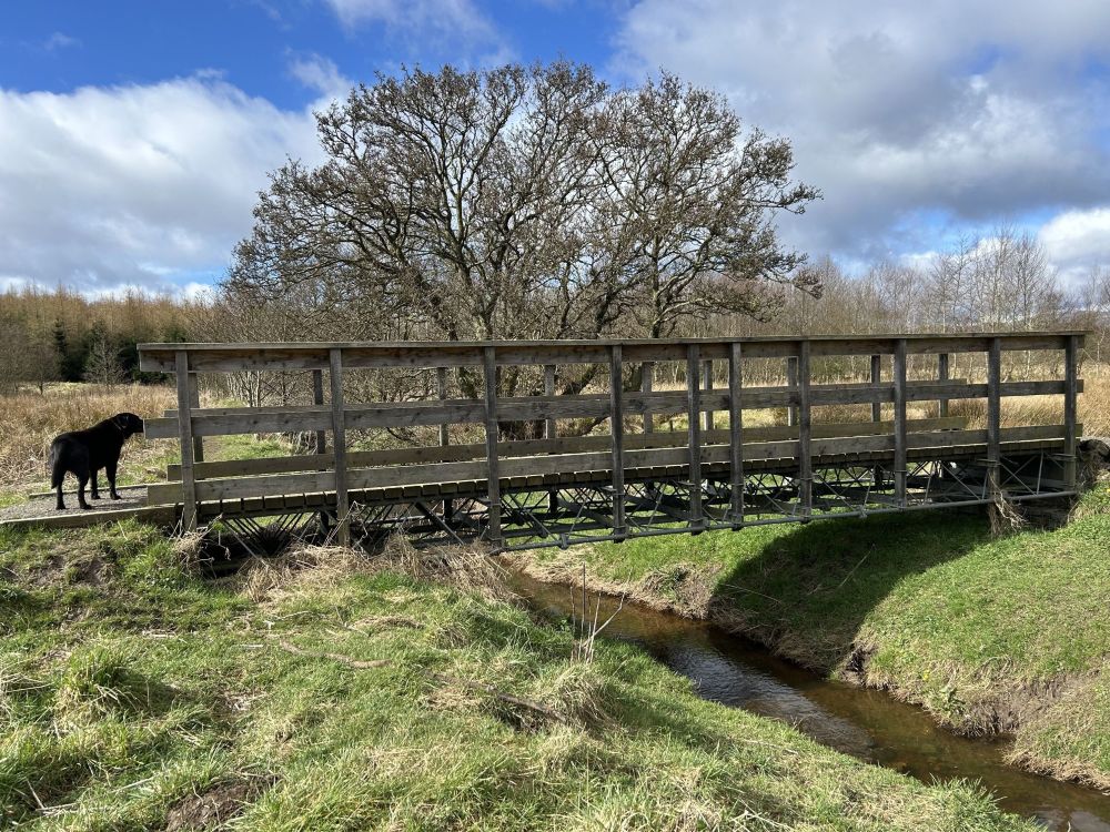 The bridge over the Bluther Burn